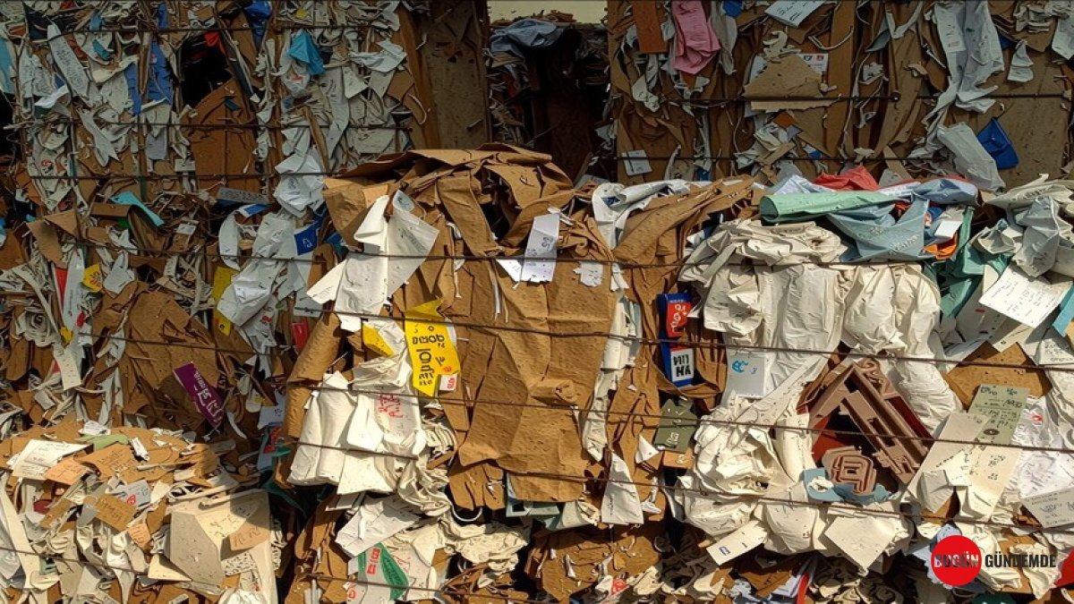 Kağıt Karton Ambalaj İhracatı Rekor Tazeledi: İlk Yarıda 528,8 Milyon Doları Aştı!