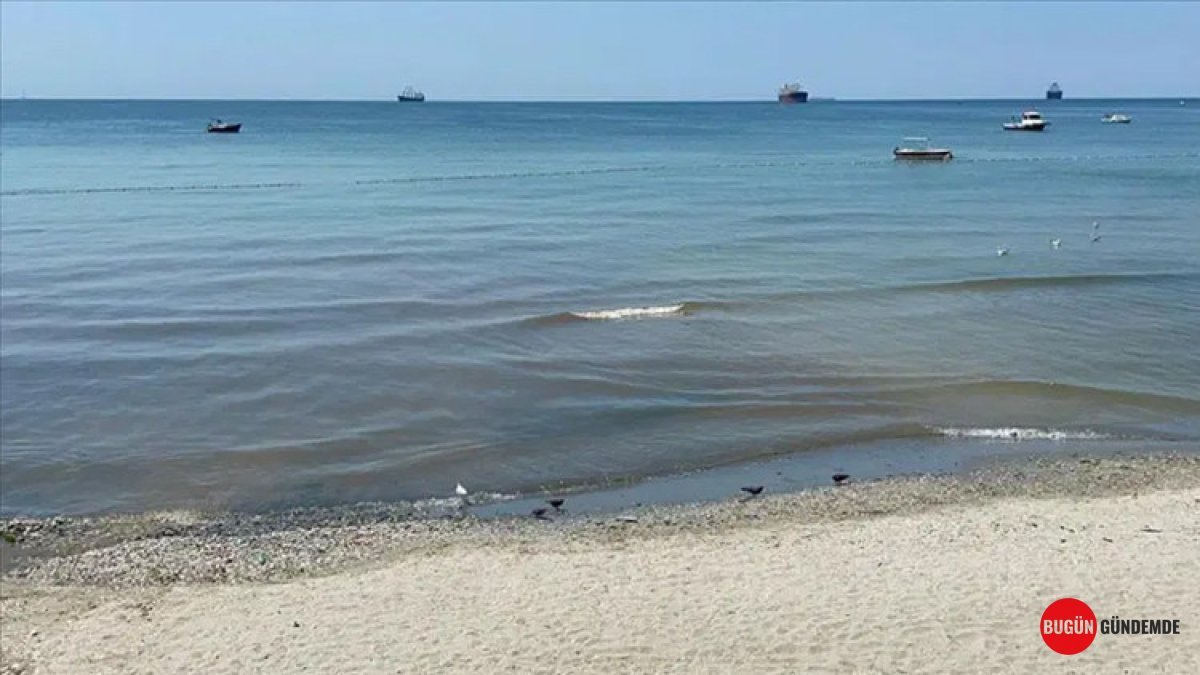 İstanbul Plajları Kapandı: Kirlilik Şoku Halk Sağlığını Tehdit Ediyor!