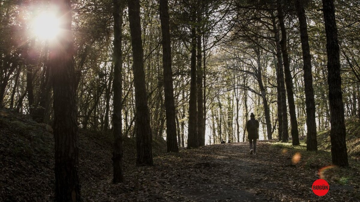 İstanbul'da Genç Nesil Tütünsüz Yetişiyor! İstanbullular Yeni Düzenlemeye Destek Yağdırdı: İşte Detaylar