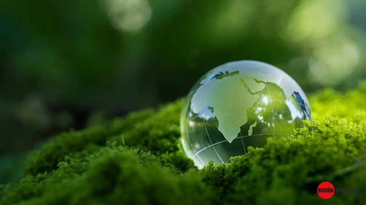 Yeşil Dönüşümün Anahtarı Türkiye'de! Emisyon Ticaretiyle Dev Adım Atılıyor, Detaylar Şaşırtıyor