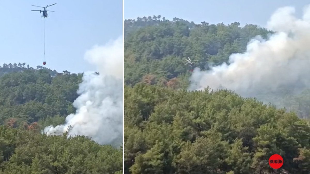 Adana Kozan'da Nefes Kesen Anlar! Alevler Neredeyse Yerleşim Yerlerine Ulaşıyordu: İşte Son Durum!