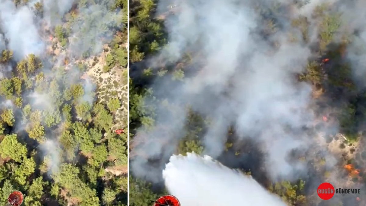 Antalya'nın Yeşil Kalbi Alevlere Teslim: Santral Mahallesi'nde Dehşet Yangını! Dev Ekipler Nefes Kesen Mücadelede