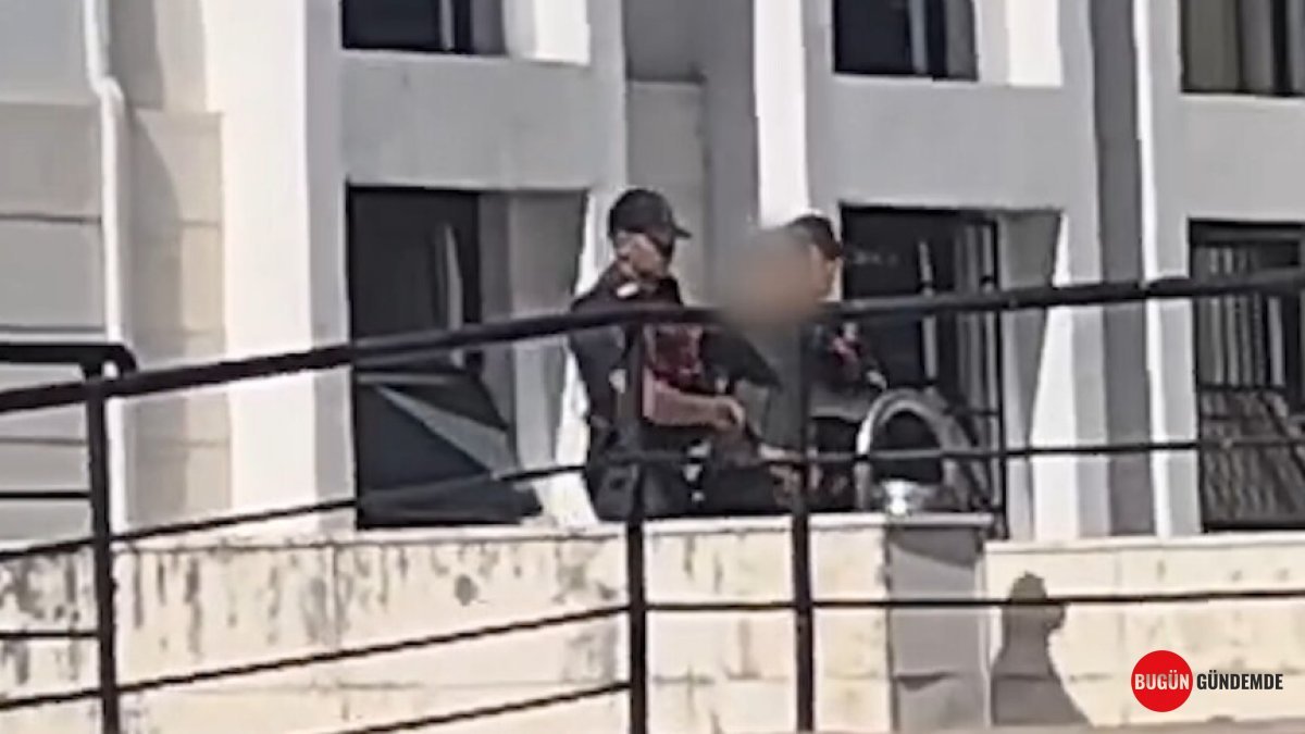 Edremit'te 'Ormanlara Kasıtlı Zarar' İddiası: Kim Gözaltına Alındı, Neden Tutuklandı? Tüm Detaylar Ortaya Çıkıyor!