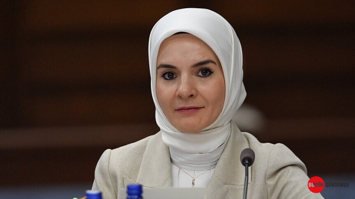 Şehit ve Gazi Çocuklarına Milli Eğitimde Müjde! Ücretsiz Okul Fırsatları Belli Oldu: Kimler Yararlanacak?